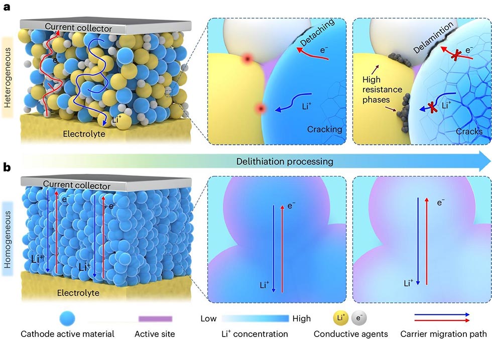 Homogeneous Cathode Material