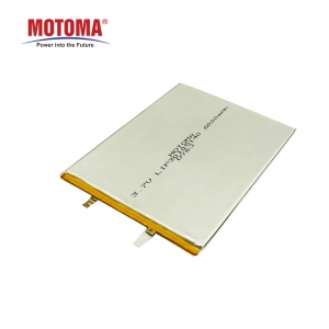 Custom lithium battery for led vest display screen outdoor advertising